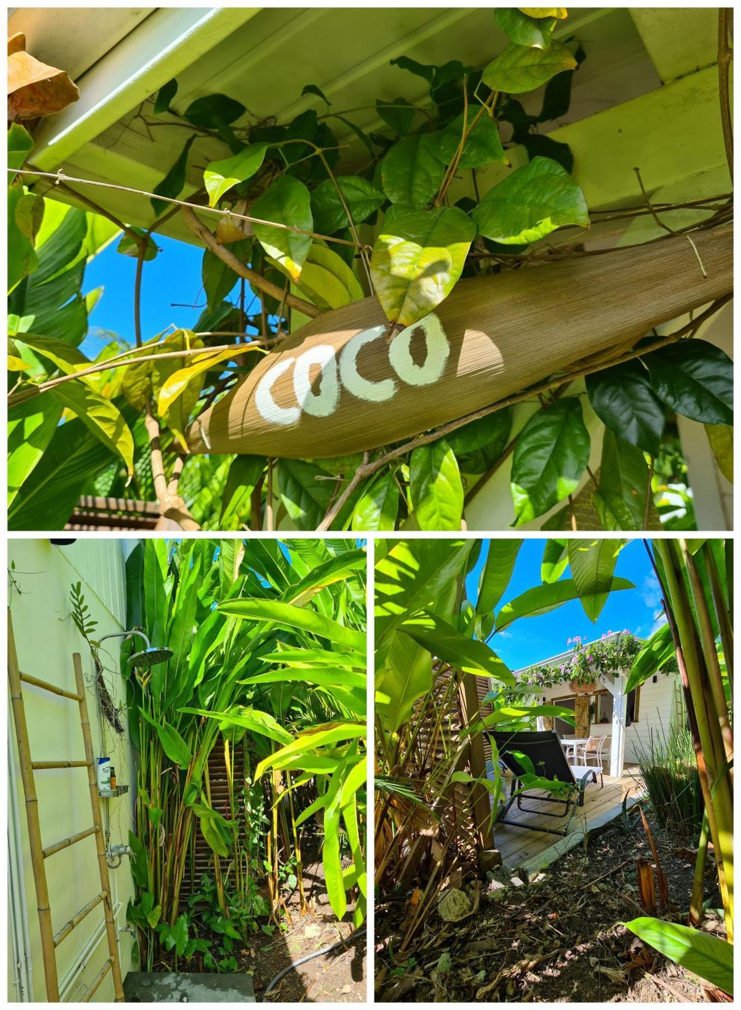 Charmant Bungalow Coco 圣安尼 外观 照片